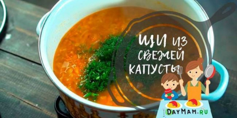 Как да сготвим зелева чорба от прясно зеле? Класически рецепти за супи